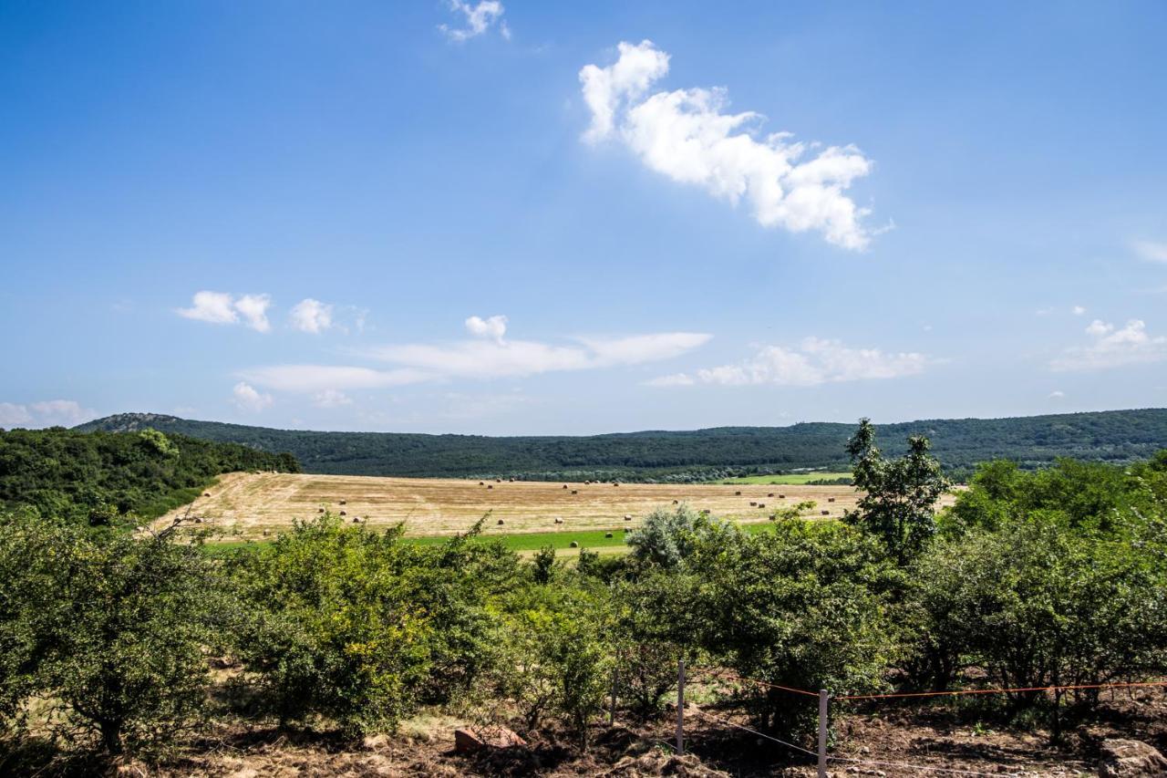 Oeregtoelgy Apartman Szár Exteriör bild